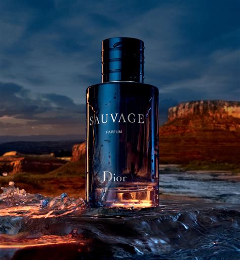 dior sauvage luchtje|dior sauvage parfum.